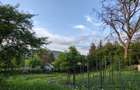 Casă individuală cu 5 camere cu Canalizare în Gruia - 3