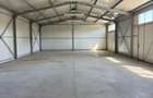 Spatiu comercial 280 mp + 700 mp curte, Filiasi - 12