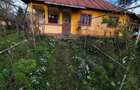 Casă cu 3 camere cu Teren 6100 Mp în Constantinești - 2