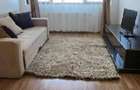 Apartament cu 2 camere semidecomandat în Băneasa - 12
