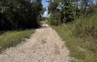 Teren de 2760 mp, în Loloiasca - 1