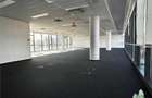Spatiu de Birouri de 636 mp in Zona Herastrau - 2