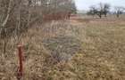 Teren 2925 mp comuna Mitocu Dragomirnei - 22