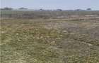 Teren intravilan de 1000 mp, în Livada de Bihor - 3