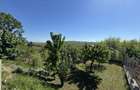 Duplex Borhanci Comision 0%, 4 camere , 400 mp teren - 8