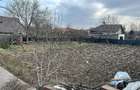 Vand teren intravilan Berca Plesesti750m2 - 4