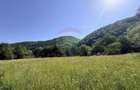 Teren Scrind-Frasinet 2 ha - Scrind Frasinet (Cluj)