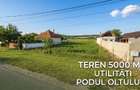 Oportunitate de Investi?ie. Teren 5.000 mp in Podul Oltului. - 4