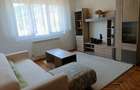 Apartament 2 camere de inchiriat Baia Sprie - 4