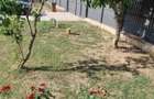 Casă cu 3 camere cu Teren 700 Mp în Gherghița - 10