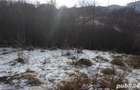 Vand teren Bran - Sohodol - 5