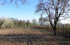 Casă cu 5 camere cu Teren 6000 Mp în Buda (Lespezi) - 8