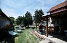 Vand Casa Pischia,Timis - 4