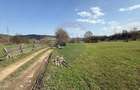 Teren 9,202 mp Manastirea Humorului / Strada Principala B... - 6