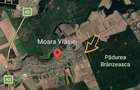 Teren spectaculos la liziera padurii -Oaza ta de liniste si aer curat - 8