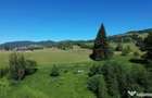 Teren in Bucovina! La Munte! De ! 0727817187 - 10