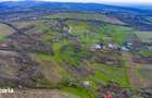 Teren 33.500 mp-Valea Orlei, Prahova/ COMISION 0% - 4