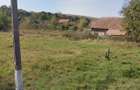 Teren intravilan 800 mp STRADAL DJ162A Cozma Mures | 16 ml deschidere | Proprietar - 2