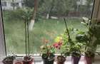 Apartament | 4 camere | 2 bai | Parter | Zona Verde | Tiglina3 - 1