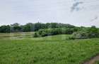 Teren extravilan de vanzare Vlaha 14.500 mp, zona superba, ideal pentr - 3