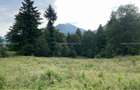 Teren Construcții de 13000 mp, în Râșnov Romacril - 3