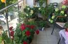 Apartament 3 camere 118mp 3 bai Living 50mp 2 locuri parcare incluse Langa Padurea Baneasa 0% comision - 5