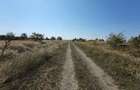 Frumusani post trafo - 5