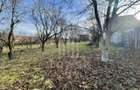 Teren intravilan 1.915 mp + cabana din lemn | Tocile Sadu - 3
