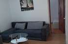 Apartament 3 camere METROU GORJULUI - 12