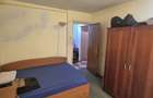 Apartament cu 3 camere decomandat în Nicolae Grigorescu - 3