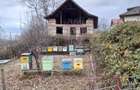 Vand constructie in zona montana ,Corbi ,jud Ag.Facilitati,apa curent ,gaze naturale ,asfalt la poar - 7