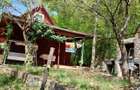 Cabana Valisoara, jud. Hunedoara de Vanzare - 6