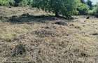 Teren de vanzare com. Aiton - 4