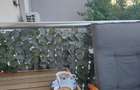 APARTAMENT 4 CAMERE 13 SEPTEMBRIE-Progresului-Razoare - 5