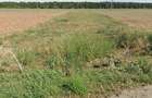 Ganeasa, de vanzare 2700 mp teren intravilan/6.900 mp teren extravilan - 3