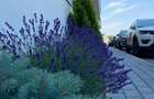 Apartament cu 2 camere în Tractorul - 6
