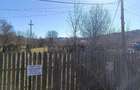 Teren de 3687 mp, în Podu Nărujei - 1