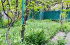 Casa cu pozitionare excelenta in zona Stadionului investitie sigur - 2