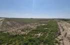 TEREN Intravilan Intre 2 complexe - Utilitati - 9500 MP Berceni/Vidra