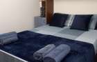 SAT VACANTA 3 CAMERE SEMI, LUX,46 MP PRET 94900 EURO - 8