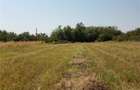 Teren de 1800 mp, în Letca Nouă - 6