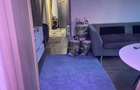Apartament 3 camere Vanzare Drumul Taberei - 1