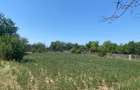 Casă individuală cu 3 camere cu Teren 3000 Mp în Drăgoești - 3