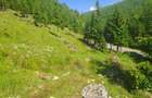 Teren Intravilan 1000mp | Drum ASFALTAT | MAGURI | PANORAMA - 3
