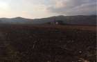 Teren intravilan de 3000 mp, în Alba Iulia - 3
