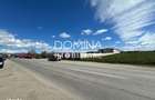 Vanzare teren intravilan 10.339 mp -dubla deschidere- str. Narciselor - 1