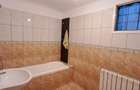 TINERETULUI (metrou) - DIMITRIE CANTEMIR, casa 2 camere, curte proprie - 7