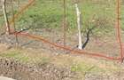 Proprietar teren 940 mp asfalt Fundulea - 3