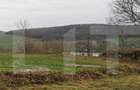Casă cu 1 camere cu Teren 3000 Mp în Someșeni - 10 Casă cu 1 camere cu Teren 3000 Mp în Someșeni - 10
