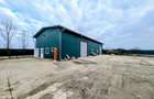 Hala de inchiriat Hodis, comuna Holod - 4